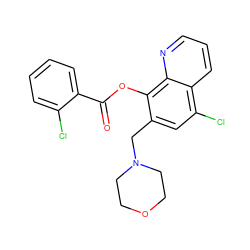 O=C(Oc1c(CN2CCOCC2)cc(Cl)c2cccnc12)c1ccccc1Cl ZINC000021486909