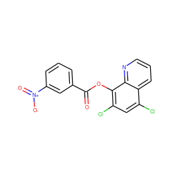 O=C(Oc1c(Cl)cc(Cl)c2cccnc12)c1cccc([N+](=O)[O-])c1 ZINC000002836545