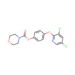 O=C(Oc1ccc(Oc2ncc(Cl)cc2Cl)cc1)N1CCOCC1 ZINC000028826579