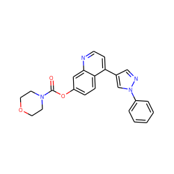 O=C(Oc1ccc2c(-c3cnn(-c4ccccc4)c3)ccnc2c1)N1CCOCC1 ZINC000084596831