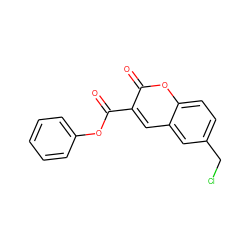 O=C(Oc1ccccc1)c1cc2cc(CCl)ccc2oc1=O ZINC000001660776