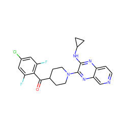 O=C(c1c(F)cc(Cl)cc1F)C1CCN(c2nc3cnccc3nc2NC2CC2)CC1 ZINC000144383966