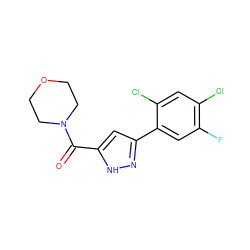 O=C(c1cc(-c2cc(F)c(Cl)cc2Cl)n[nH]1)N1CCOCC1 ZINC000064691727