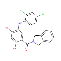 O=C(c1cc(Nc2ccc(Cl)cc2Cl)c(O)cc1O)N1Cc2ccccc2C1 ZINC000169343544