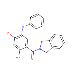 O=C(c1cc(Nc2ccccc2)c(O)cc1O)N1Cc2ccccc2C1 ZINC000169343542