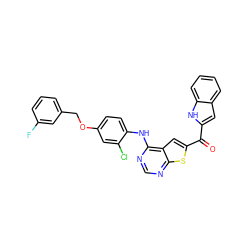 O=C(c1cc2ccccc2[nH]1)c1cc2c(Nc3ccc(OCc4cccc(F)c4)cc3Cl)ncnc2s1 ZINC000082156909