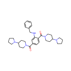 O=C(c1ccc(C(=O)N2CCC(N3CCCC3)CC2)c(NCc2ccccc2)c1)N1CCC(N2CCCC2)CC1 ZINC000096284388