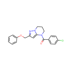 O=C(c1ccc(Cl)cc1)N1CCCn2nc(COc3ccccc3)cc21 ZINC000473149122