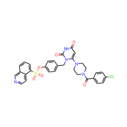 O=C(c1ccc(Cl)cc1)N1CCN(c2cc(=O)[nH]c(=O)n2Cc2ccc(OS(=O)(=O)c3cccc4cnccc34)cc2)CC1 ZINC000205366878