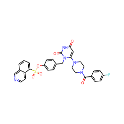 O=C(c1ccc(F)cc1)N1CCN(c2cc(=O)[nH]c(=O)n2Cc2ccc(OS(=O)(=O)c3cccc4cnccc34)cc2)CC1 ZINC000205366088