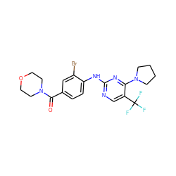 O=C(c1ccc(Nc2ncc(C(F)(F)F)c(N3CCCC3)n2)c(Br)c1)N1CCOCC1 ZINC000169705166