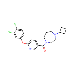 O=C(c1ccc(Oc2ccc(Cl)c(Cl)c2)nc1)N1CCCN(C2CCC2)CC1 ZINC000053226524