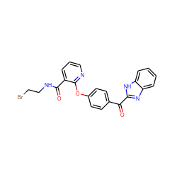 O=C(c1ccc(Oc2ncccc2C(=O)NCCBr)cc1)c1nc2ccccc2[nH]1 ZINC000169703159