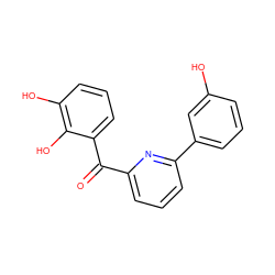 O=C(c1cccc(-c2cccc(O)c2)n1)c1cccc(O)c1O ZINC001772610368