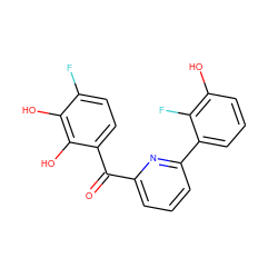 O=C(c1cccc(-c2cccc(O)c2F)n1)c1ccc(F)c(O)c1O ZINC000584904869