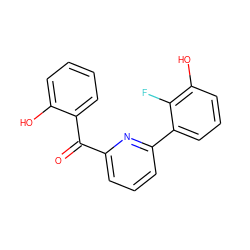 O=C(c1cccc(-c2cccc(O)c2F)n1)c1ccccc1O ZINC001772648124