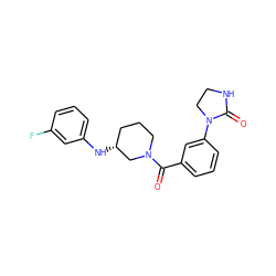 O=C(c1cccc(N2CCNC2=O)c1)N1CCC[C@@H](Nc2cccc(F)c2)C1 ZINC000012385817