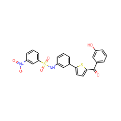 O=C(c1cccc(O)c1)c1ccc(-c2cccc(NS(=O)(=O)c3cccc([N+](=O)[O-])c3)c2)s1 ZINC000473152908