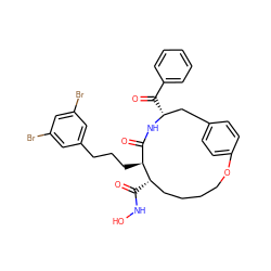 O=C(c1ccccc1)[C@@H]1Cc2ccc(cc2)OCCCC[C@H](C(=O)NO)[C@@H](CCCc2cc(Br)cc(Br)c2)C(=O)N1 ZINC000026740784