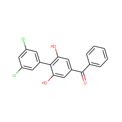 O=C(c1ccccc1)c1cc(O)c(-c2cc(Cl)cc(Cl)c2)c(O)c1 ZINC000040860954