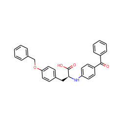 O=C(c1ccccc1)c1ccc(N[C@@H](Cc2ccc(OCc3ccccc3)cc2)C(=O)O)cc1 ZINC000013782237