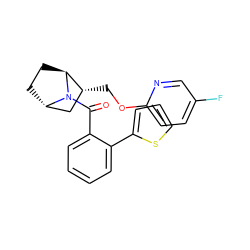 O=C(c1ccccc1-c1cccs1)N1[C@H]2CC[C@H]1[C@H](COc1ccc(F)cn1)C2 ZINC000226051149