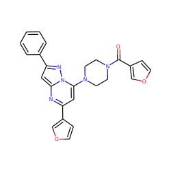 O=C(c1ccoc1)N1CCN(c2cc(-c3ccoc3)nc3cc(-c4ccccc4)nn23)CC1 ZINC000095571470