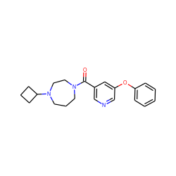 O=C(c1cncc(Oc2ccccc2)c1)N1CCCN(C2CCC2)CC1 ZINC000053293856