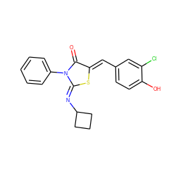 O=C1/C(=C/c2ccc(O)c(Cl)c2)S/C(=N\C2CCC2)N1c1ccccc1 ZINC000049112499