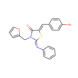 O=C1/C(=C/c2ccc(O)cc2)S/C(=N\c2ccccc2)N1Cc1ccco1 ZINC000101431636