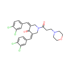 O=C1/C(=C\c2ccc(Cl)c(Cl)c2)CN(C(=O)CCN2CCOCC2)C/C1=C/c1ccc(Cl)c(Cl)c1 ZINC000059365139