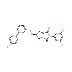 O=C1[C@H]2C[C@@H](OCc3cccc(-c4ccc(Br)cc4)c3)CN2C(=O)N1c1cc(Cl)cc(Cl)c1 ZINC000028347120