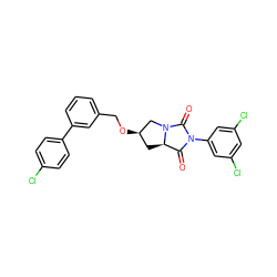 O=C1[C@H]2C[C@@H](OCc3cccc(-c4ccc(Cl)cc4)c3)CN2C(=O)N1c1cc(Cl)cc(Cl)c1 ZINC000028367488