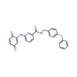 O=C1C=CC(=O)C(Nc2cccc(C(=O)NCc3ccc(Oc4ccccc4)cc3)n2)=C1 ZINC000299836701