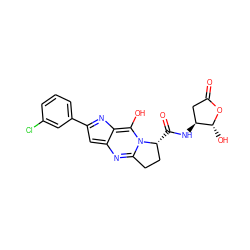 O=C1C[C@H](NC(=O)[C@@H]2CCc3nc4cc(-c5cccc(Cl)c5)nc-4c(O)n32)[C@@H](O)O1 ZINC000101032205