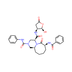 O=C1C[C@H](NC(=O)[C@@H]2CN(C(=O)Nc3ccccc3)C[C@@H]3CCCC[C@H](NC(=O)c4ccccc4)C(=O)N32)[C@H](O)O1 ZINC000028530486