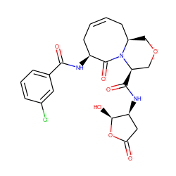 O=C1C[C@H](NC(=O)[C@@H]2COC[C@@H]3CC=CC[C@H](NC(=O)c4cccc(Cl)c4)C(=O)N32)[C@H](O)O1 ZINC000028564657