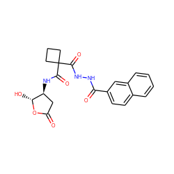 O=C1C[C@H](NC(=O)C2(C(=O)NNC(=O)c3ccc4ccccc4c3)CCC2)[C@@H](O)O1 ZINC000036092961