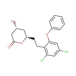 O=C1C[C@H](O)C[C@@H](CCc2c(Cl)cc(Cl)cc2Oc2ccccc2)O1 ZINC000029409003