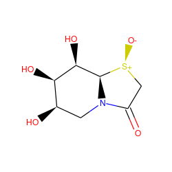 O=C1C[S@+]([O-])[C@@H]2[C@H](O)[C@H](O)[C@H](O)CN12 ZINC000095561446