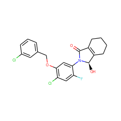 O=C1C2=C(CCCC2)[C@@H](O)N1c1cc(OCc2cccc(Cl)c2)c(Cl)cc1F ZINC000103208635