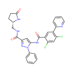 O=C1CC[C@@H](CNC(=O)c2cc(NC(=O)c3cc(-c4ccccn4)c(Cl)cc3Cl)n(-c3ccccc3)n2)N1 ZINC001772653394