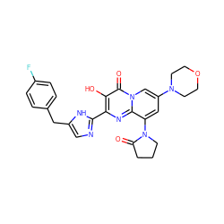 O=C1CCCN1c1cc(N2CCOCC2)cn2c(=O)c(O)c(-c3ncc(Cc4ccc(F)cc4)[nH]3)nc12 ZINC000102410270