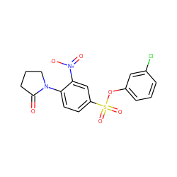 O=C1CCCN1c1ccc(S(=O)(=O)Oc2cccc(Cl)c2)cc1[N+](=O)[O-] ZINC000004611161