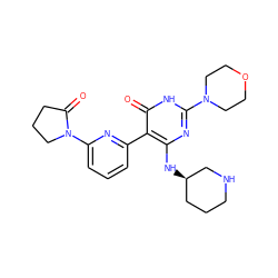 O=C1CCCN1c1cccc(-c2c(N[C@@H]3CCCNC3)nc(N3CCOCC3)[nH]c2=O)n1 ZINC000220612483