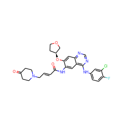 O=C1CCN(C/C=C/C(=O)Nc2cc3c(Nc4ccc(F)c(Cl)c4)ncnc3cc2O[C@H]2CCOC2)CC1 ZINC000214019043