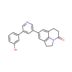 O=C1CCc2cc(-c3cncc(-c4cccc(O)c4)c3)cc3c2N1CC3 ZINC000071330385