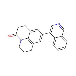 O=C1CCc2cc(-c3cncc4ccccc34)cc3c2N1CCC3 ZINC000071277227