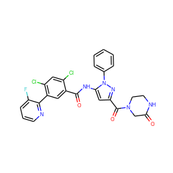 O=C1CN(C(=O)c2cc(NC(=O)c3cc(-c4ncccc4F)c(Cl)cc3Cl)n(-c3ccccc3)n2)CCN1 ZINC001772617940