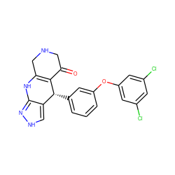 O=C1CNCC2=C1[C@H](c1cccc(Oc3cc(Cl)cc(Cl)c3)c1)c1c[nH]nc1N2 ZINC000118042670